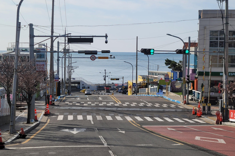 Busan Highlights Day Tour from Seoul by KTX - Capsule Ride
