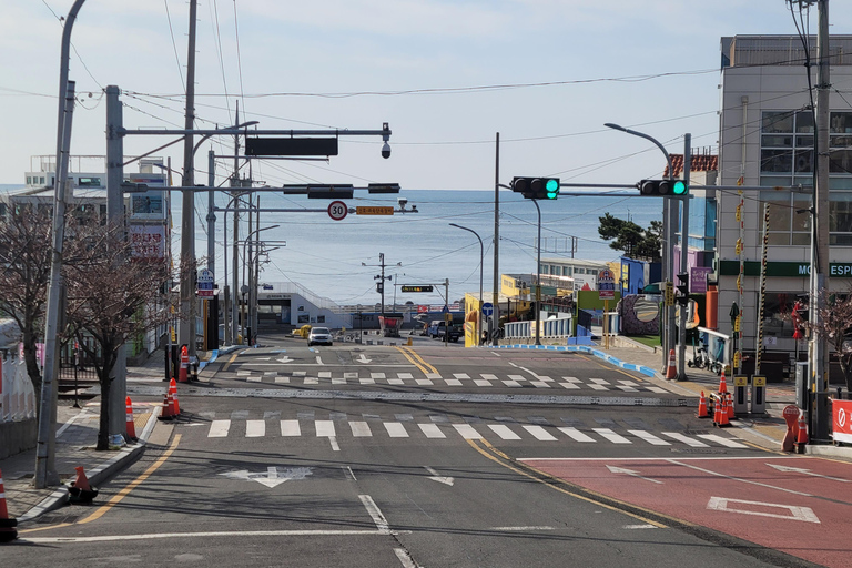 Busan Highlights Day Tour from Seoul by KTX - Capsule Ride