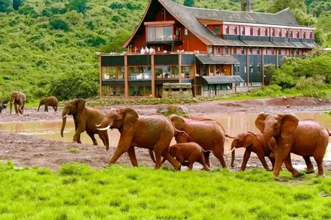 Nairobi: Overnight Adventure in Aberdare National Park