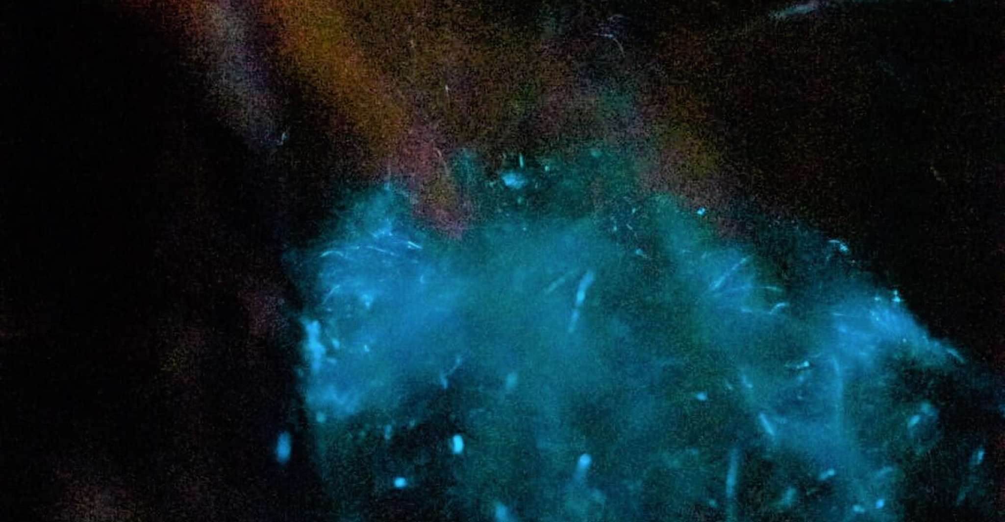 Paquera，2小时的生物发光皮划艇之旅 - Housity