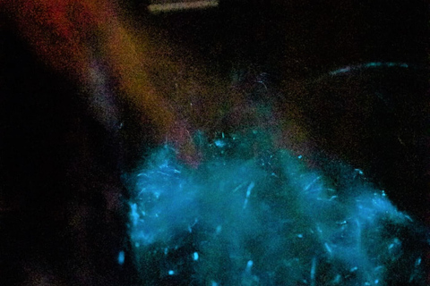 Paquera: Sunset and Bioluminescence Evening Kayaking Tour