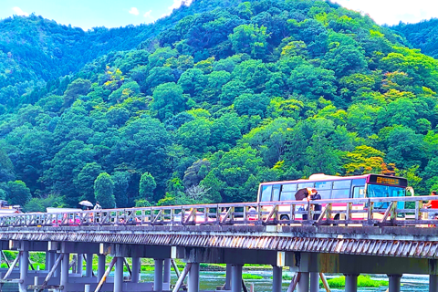 Kyoto: Complete Tour in One Day, Visit All 12 Popular Sights Kyoto: Sightseeing Walking Day Tour