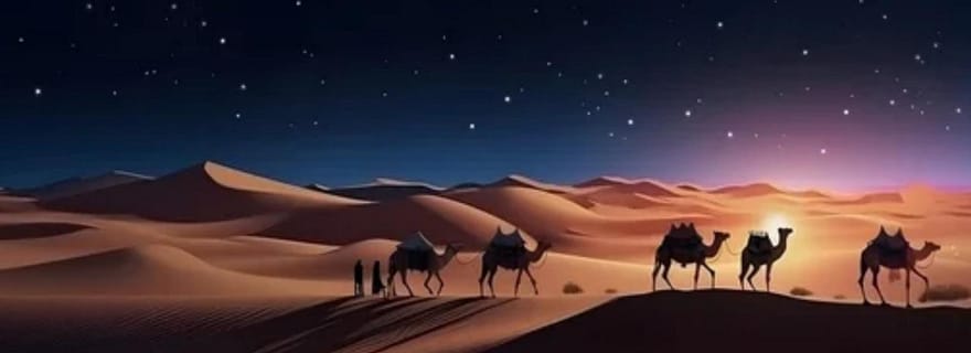 Safari nocturne dans le désert, observation des étoiles et visite de la mer intérieure