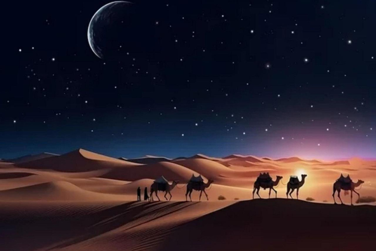 الدوحة: رحلة سفاري ليلية في الصحراء ومشاهدة النجوم والبحر الداخليسفاري ليلي خاص مع مشاهدة النجوم و