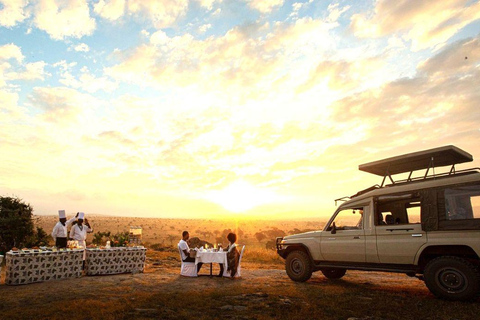 Salt Lick Safari Lodge: tour di 2 giorni da Nairobi o MombasaNairobi o Mombasa: tour di 2 giorni al Salt Lick Safari Lodge