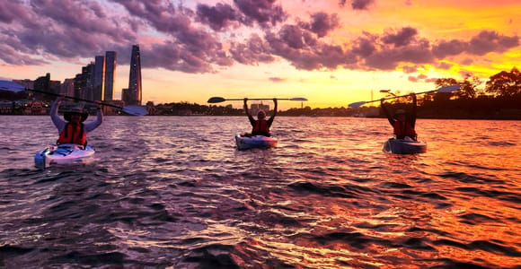 Sydney: Sunset Kayak-Opera & Harbour Bridge Tour small group