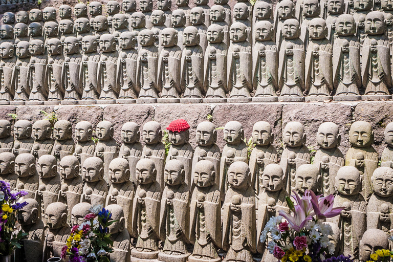 From Tokyo: Kamakura Private Tour with Great Buddha & Bamboo