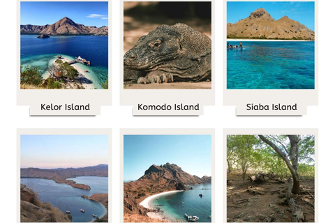 From Labuan Bajo: 2-Night Komodo Islands Sailing Trip