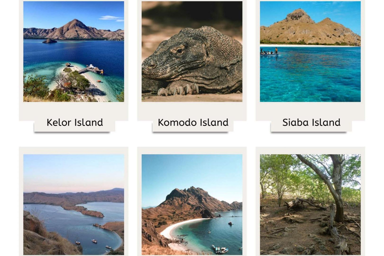 From Labuan Bajo: 2-Night Komodo Islands Sailing Trip