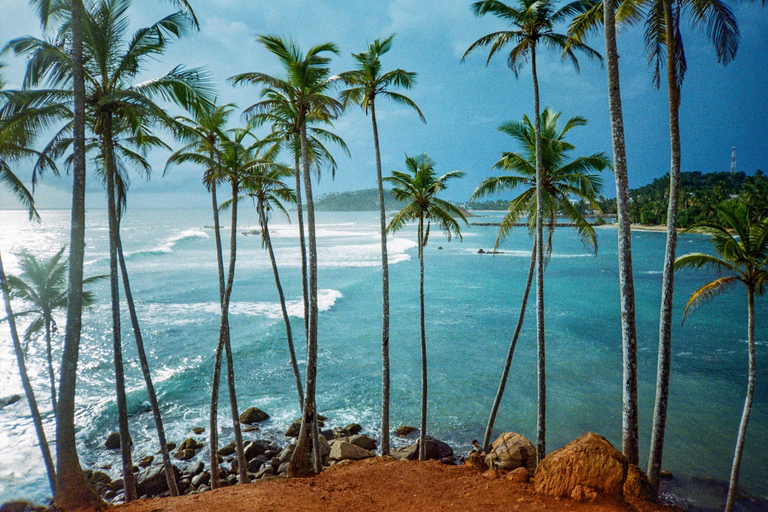 Besuche Sri Lanka 7 Tage Rundreise