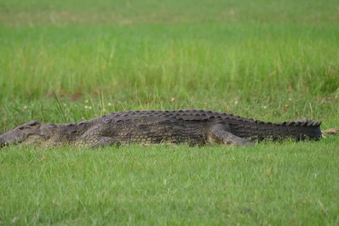 Pottuvil Lagoon Eco Tour : Mangrove Adventure in Arugam Bay