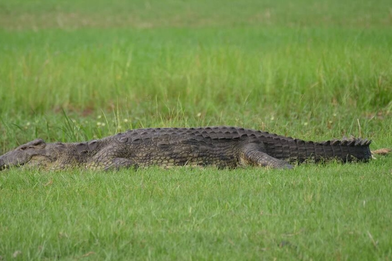 Pottuvil Lagoon Eco Tour : Mangrove Adventure in Arugam Bay