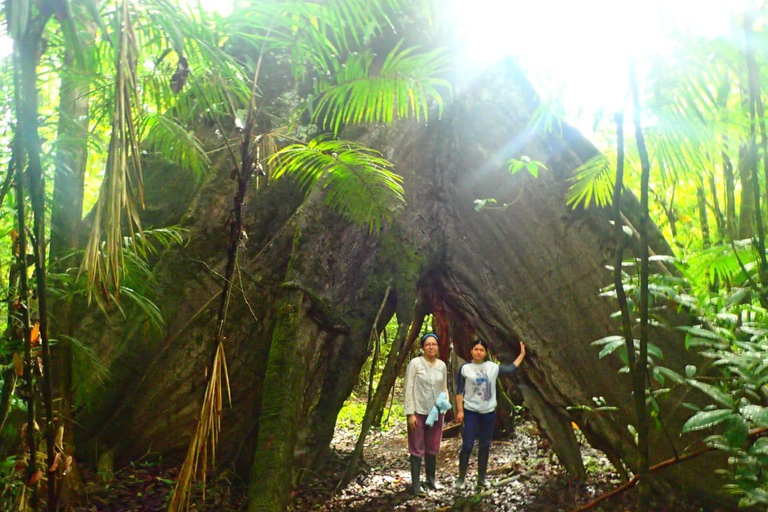 L&#039;Odyssée de l&#039;Amazonie : Explorez les merveilles de la forêt tropicale grâce à nos circuits !