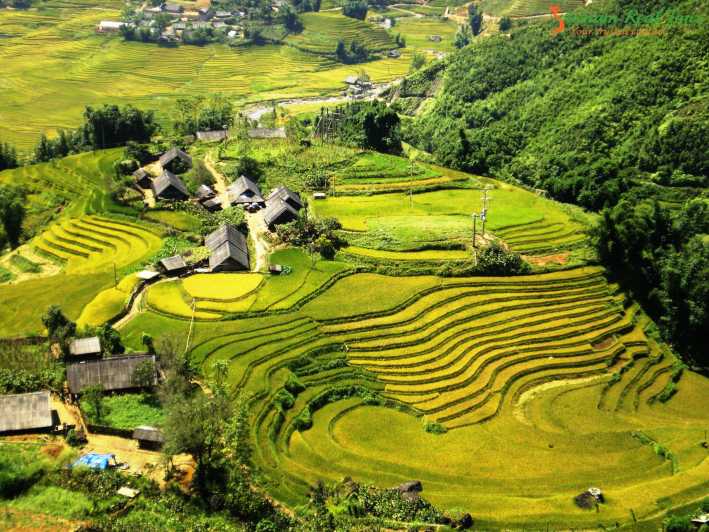 From Sapa: 1 Day Trekking to Terrace field and local Village