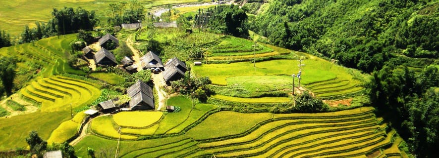 From Sapa: 1 Day Trekking to Terrace field and local Village