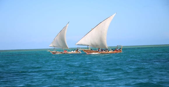 Zanzibar: Prison Island - Old Town - Spice Farm with Lunch