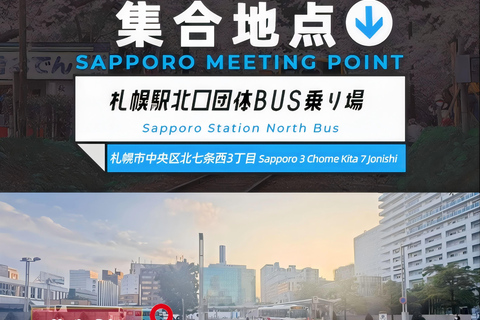 سابورو: جولة في حديقة أساهياما للحيوانات والبركة الزرقاء والينبوع الساخنالطريق C - 7:30 من الفندق/الم