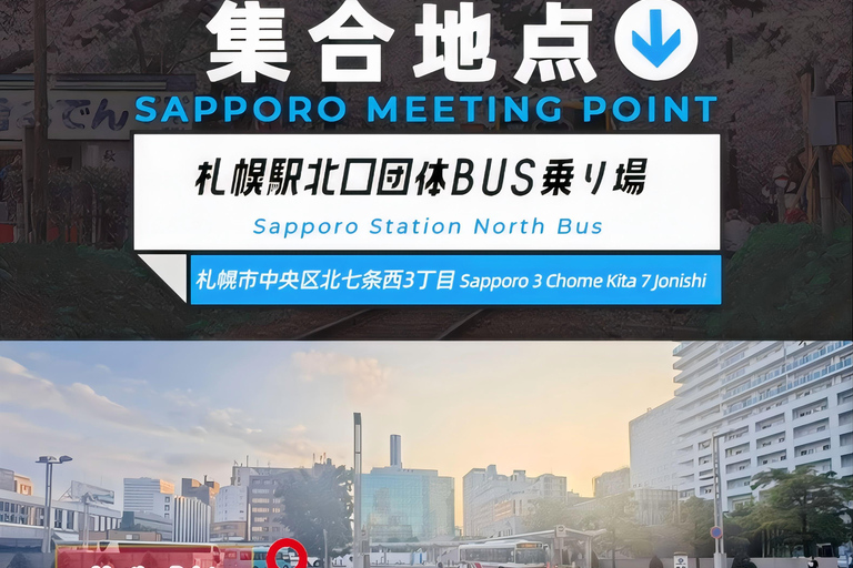 سابورو: جولة في حديقة أساهياما للحيوانات والبركة الزرقاء والينبوع الساخنالطريق C - 7:30 من الفندق/الم