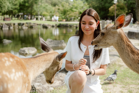 La sérénité de Nara : Souvenirs parmi les cerfs et les temples