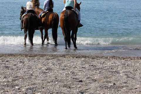 Sierra Nevada/Costa Tropical: Ski and Beach in the Same Day