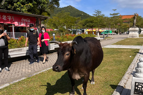 From Hong Kong: Lantau Island Private Car Tour w/ Cable Car Executive Car with Private Cabin