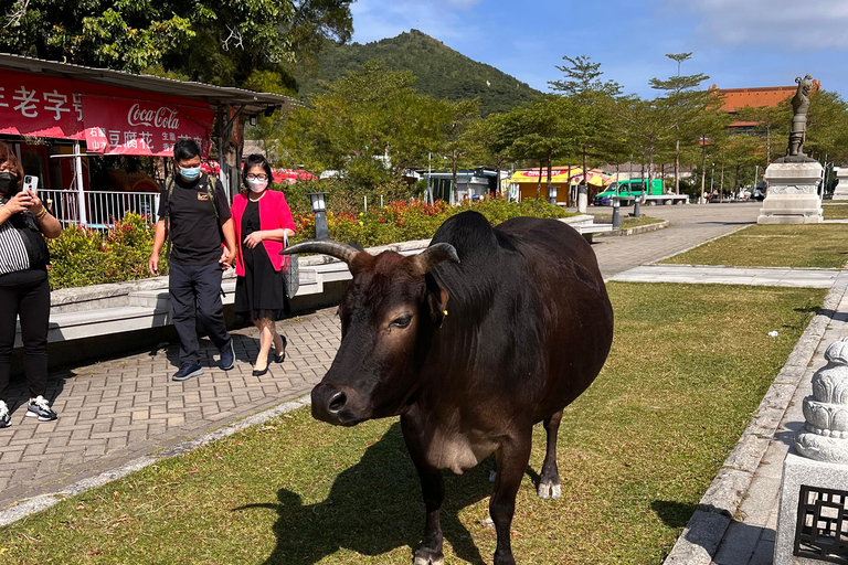 From Hong Kong: Lantau Island Private Car Tour w/ Cable Car Executive Car with Private Cabin