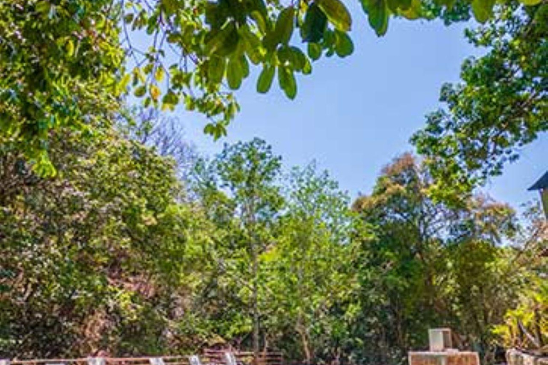 Puerto Vallarta: Jorullo Paradise Hiking Adventure