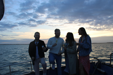 Dublin: Howth Lighthouse and Cliffs BootstourDublin: Howth Cliffs und Irlands Auge Bootstour an der Küste