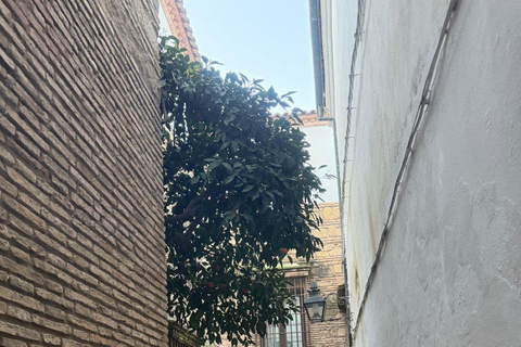 Córdoba Courtyards, Jewish Quarter and Synagogue Sightseeing Tour Cordoba's Courtyards, Jewish Quarter and Synagogue Sightseeing Tour