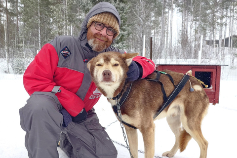 Rovaniemi: Voel de snelheid van husky&#039;s