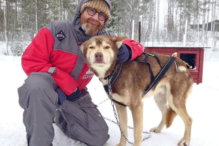 Rovaniemi: Voel de snelheid van husky&#039;s