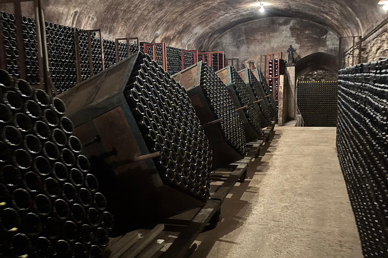 Champagne Day Tour Tours, tastings, and lunch included Champagne Tour Day Tours Tastings Lunch included