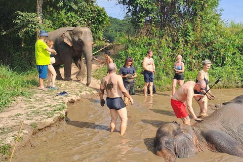 清迈 2-3 天探险之旅：山区部落、大象和河流3 天 2 夜大象与漂流的文化熏陶