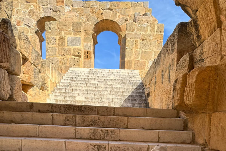 From Tunis: Bardo Museum, Oudhna & Aqueduct Private Tour