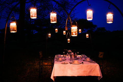 Beste 3-tägige Heiligabend-Safari nach Tarangire und Serengeti