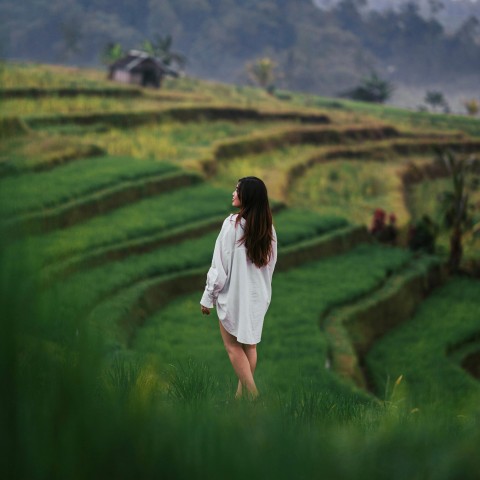 Visit Ubud Best of Ubud Highlights Private Day Tour in Bali