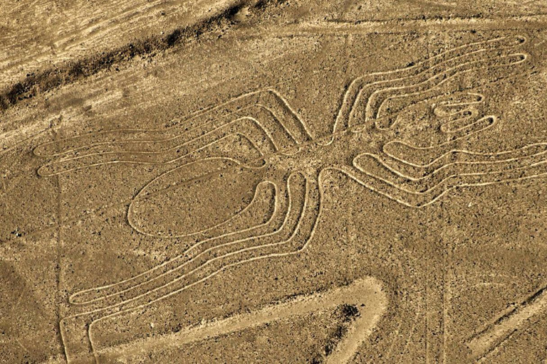 De Nazca : Vol en petit avion au-dessus des lignes de Nazca