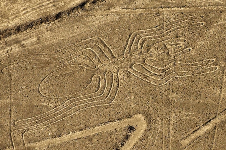 From Ica: Flight over the Nazca Lines