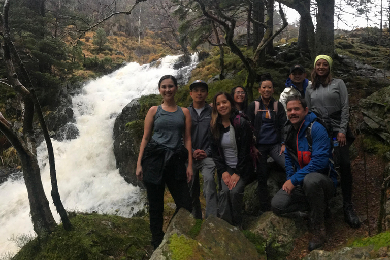 Hiking & Friends: A Social Adventure in Bergen