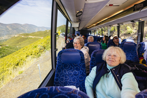 Ab San Francisco: Tour zum Yosemite NationalparkTour auf Englisch