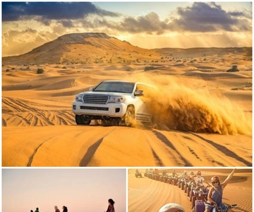 Doha: Safari, Camel Ride, Sandboarding and Inland Sea Tour
