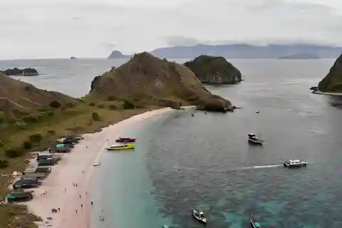 Komodo Island Tour 2Days 1Night