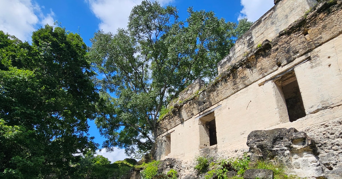 Tikal from mundo maya airport getyourguide