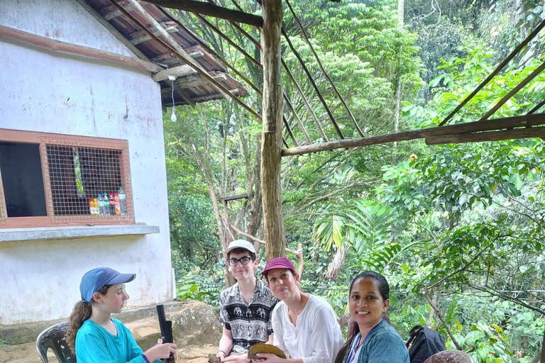 From Colombo/Kalutara: Full-Day Sinharaja Guided Eco Trek