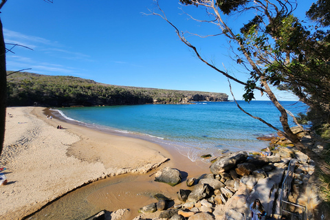 Från Sydney: Royal National Park, Wollongong och Kiama Tour