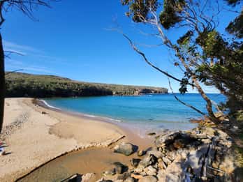 From Sydney: Royal National Park, Wollongong, and Kiama Tour