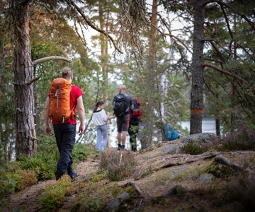 Tiveden National park: Summer guided walk around Stenkälla