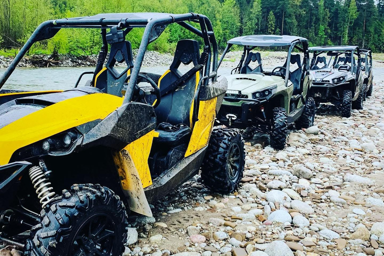 زاكوباني: مغامرة ركوب العربات مع نار المخيم والنقل