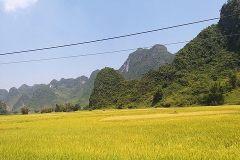 Vanuit Hanoi: 2-daagse Ban Gioc waterval tour - kleine groepGroepsreis: 1 persoon