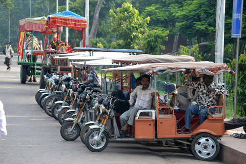 Old Delhi : Tour de ville avec promenade en tuk tuk à Chandni ChowkVoiture, chauffeur, guide et trajet en tuk tuk seulement